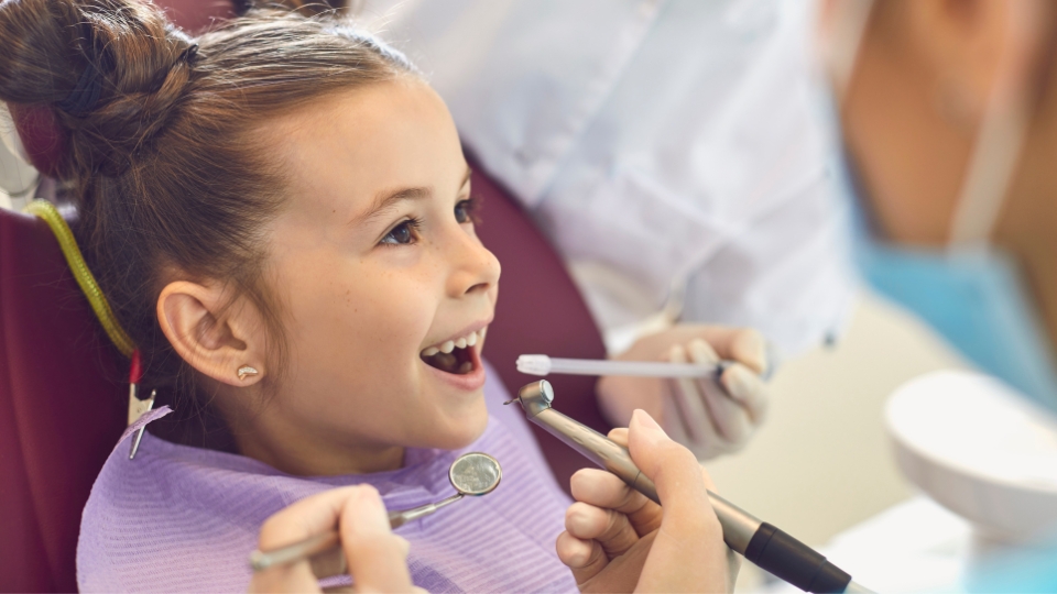 Conteúdo Atualizado e Baseado em Evidências